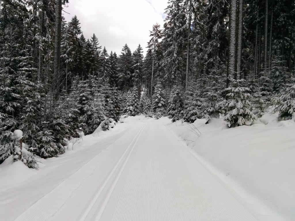 Loipe Höchstspur