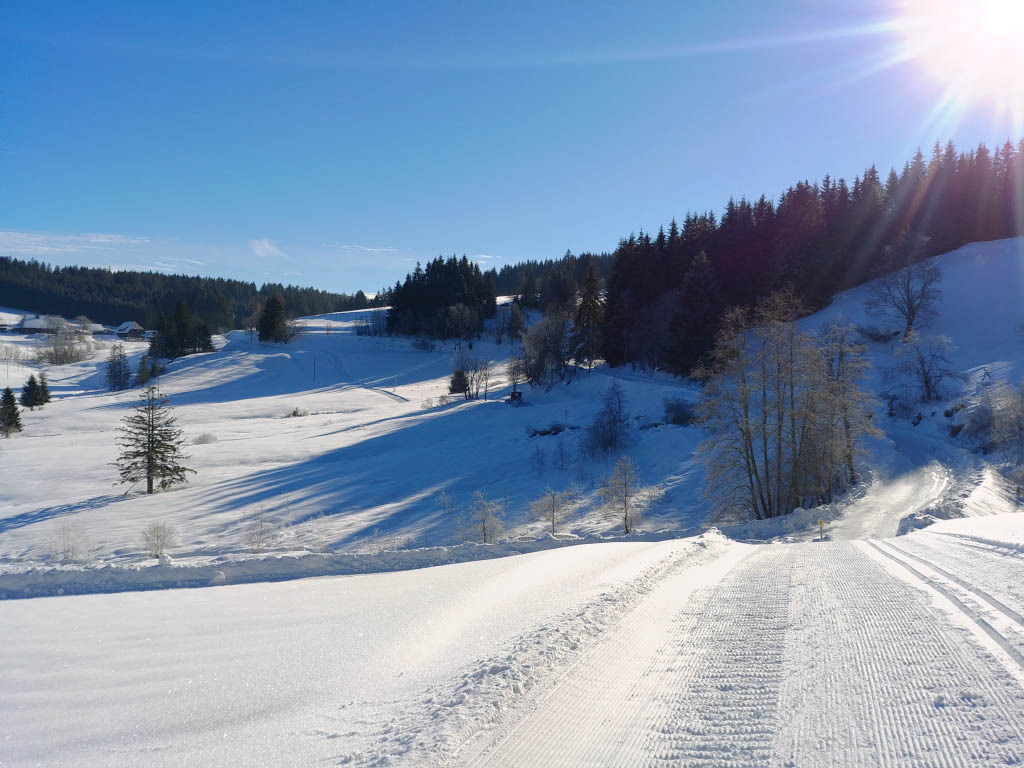 Loipe Schonach - Martinskapelle (Etappe 1)