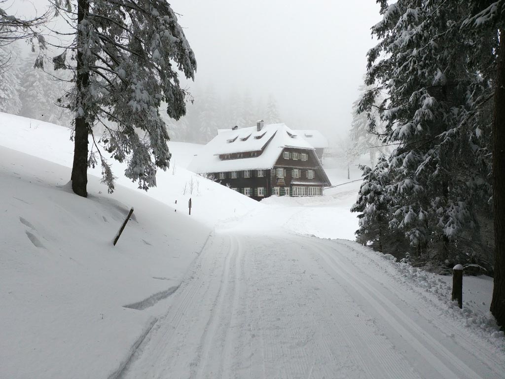 Loipe Schänzleloipe (Schwedenschanze)