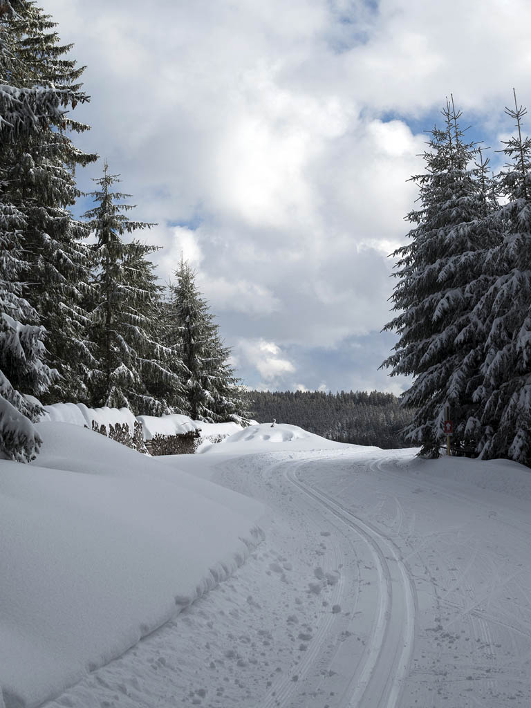 Loipe Panoramaloipe