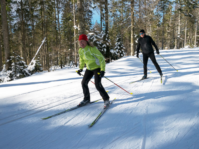 Bild: Skatingkurs Panorama-Loipe Schönwald (Bild 1)